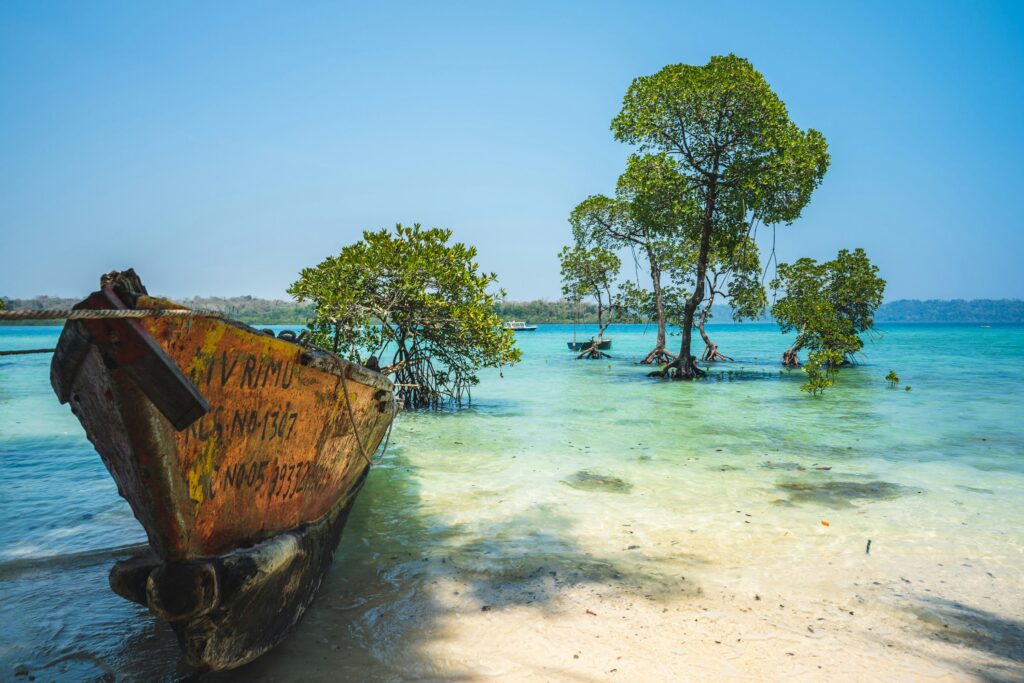 Andaman Nicorbar island