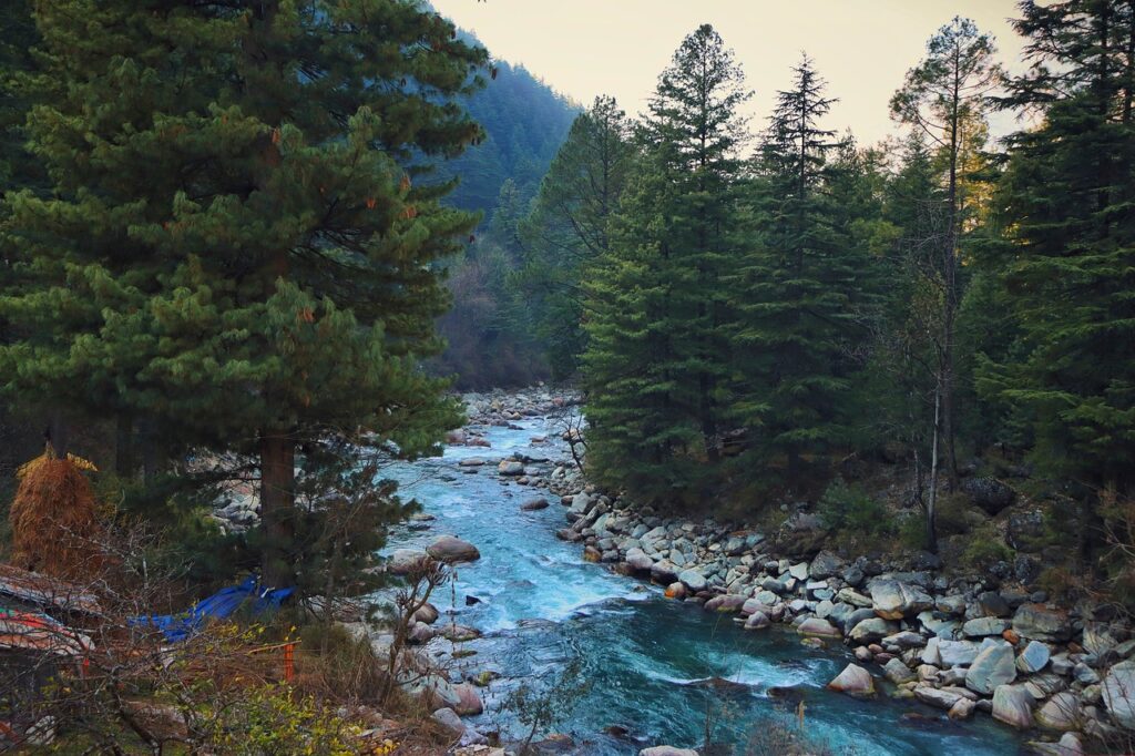 Kasol India